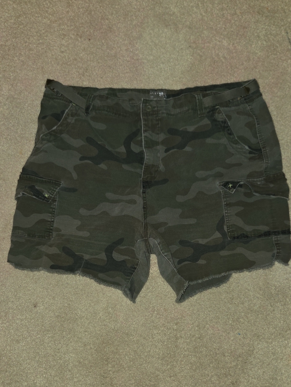 Terra & Sky Womens Shorts